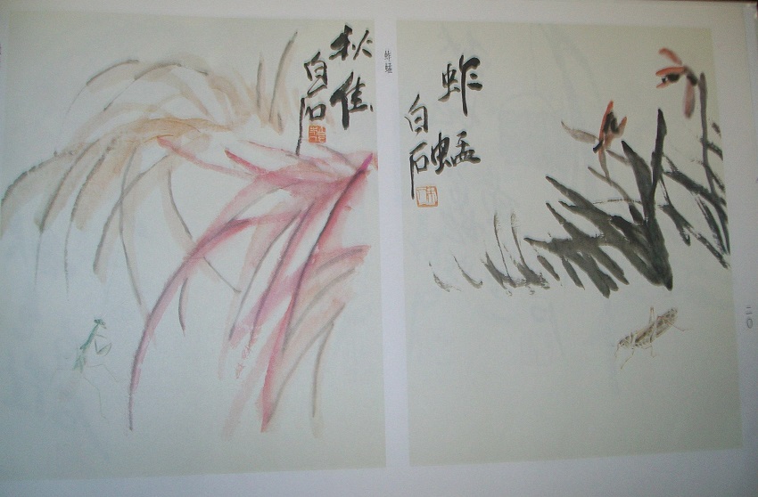 20011.jpg